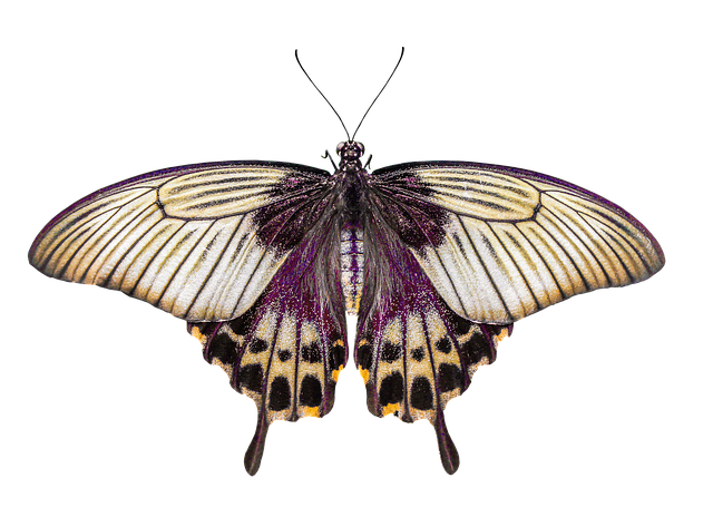 barn environmental sensor node ammonia humidity temperature isolated deep red bronze blazemist barnsense aq