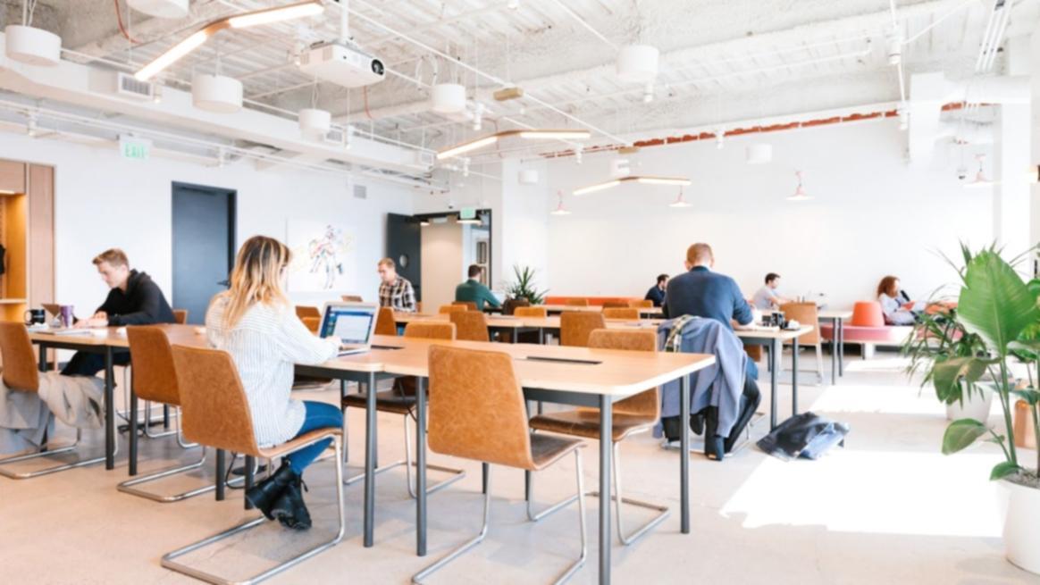 Professional business formation consultation workspace showing detailed documentation and strategic planning materials